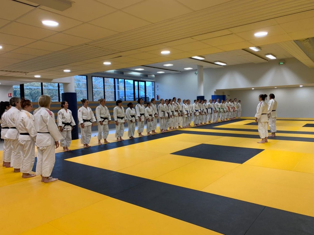 Image de l'actu 'Journée du judo féminin à Mont de Marsan le 03/12/2022'