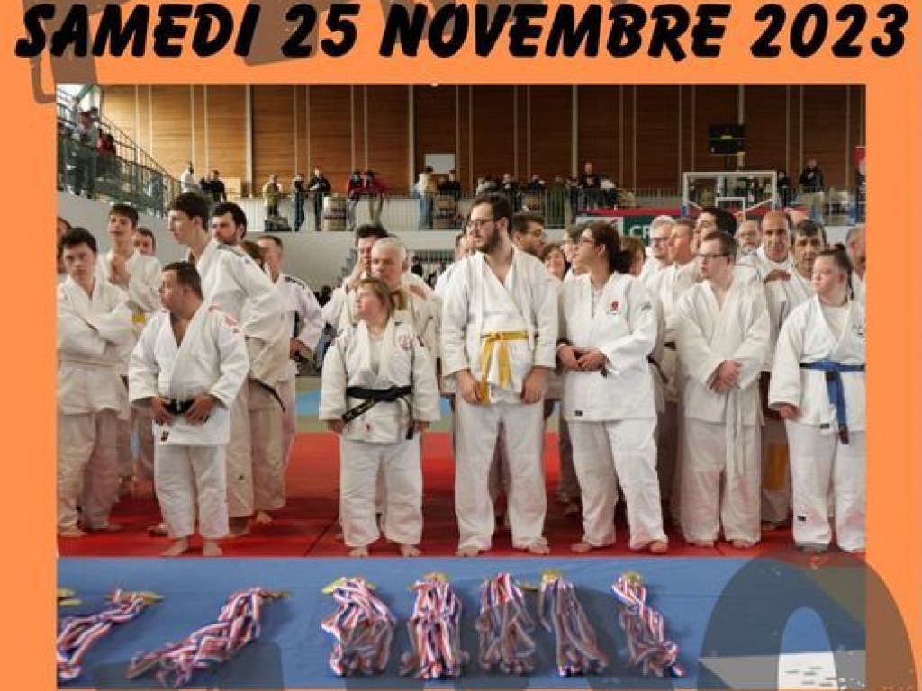 Image de l'actu 'Animation par Équipe Handi Valide Parajudo DAX 25/11/2023'