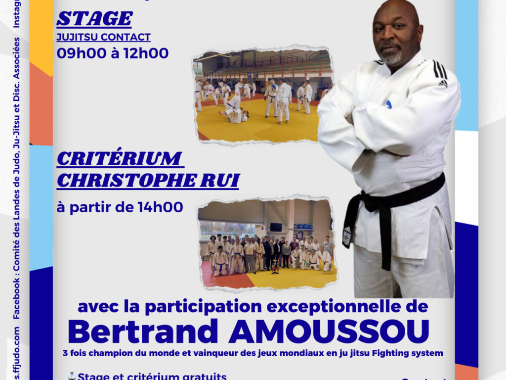 Image de l'actu 'Dimanche 19 janvier 2025 : rendez-vous Jujitsu au dojo départemental'