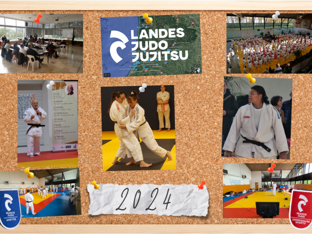 Image de l'actu 'Record de licenciés LandesJudoJujitsu'