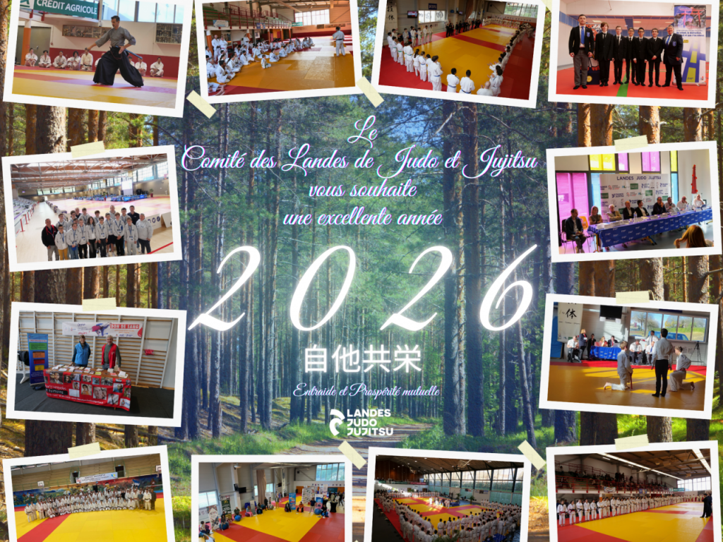 Image de l'actu 'Très belle année 2026 à toutes et à tous'