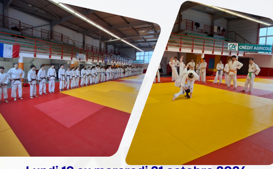 Stage Minimes Cadets  du 19 au 21 OCTOBRE 2026 - DAX